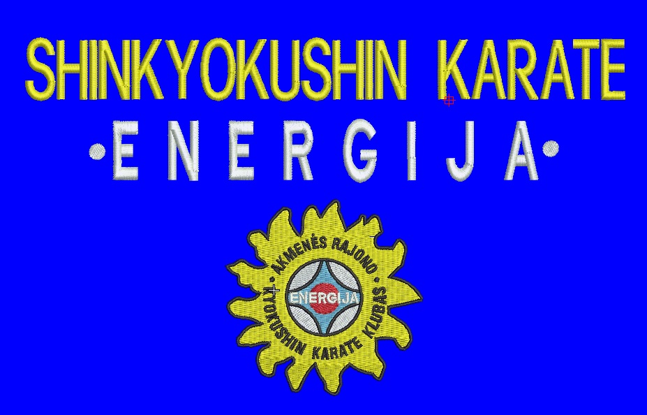Akmenės r.sporto klubas "Energija"